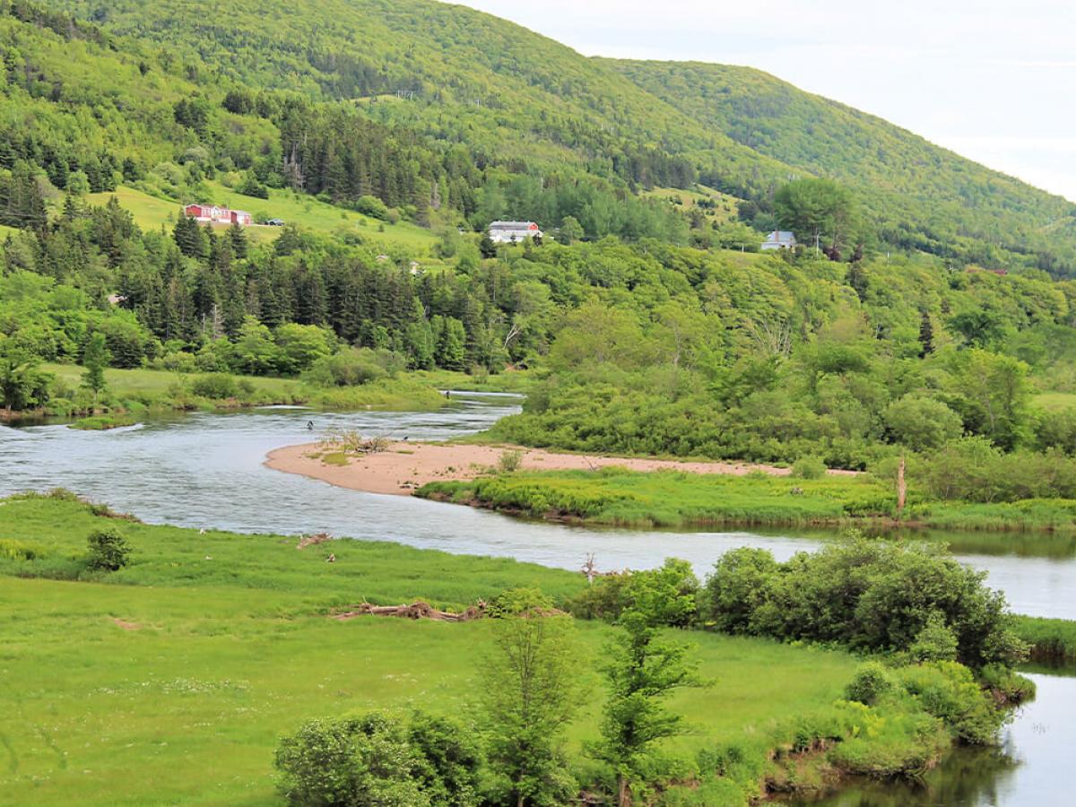 Along the hot Margaree River, Cape Breton